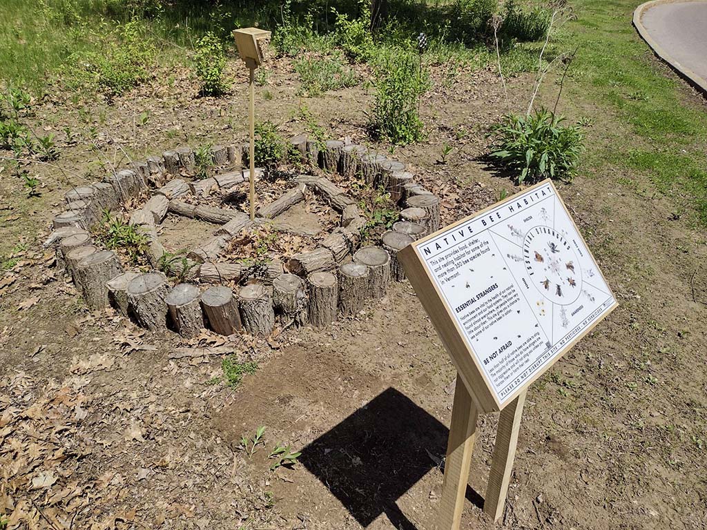 bee habitat